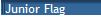 Junior Flag