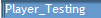 Player_Testing