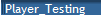 Player_Testing